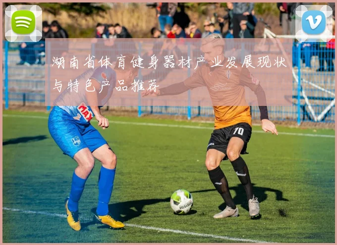 湖南省体育健身器材产业发展现状与特色产品推荐