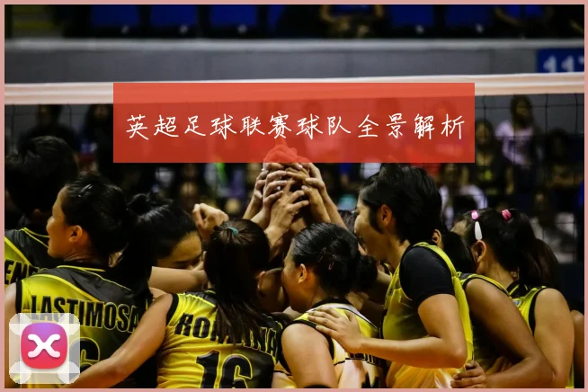 英超足球联赛球队全景解析